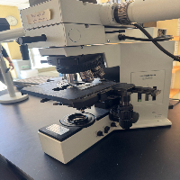 Olympus BX50 Training Microscope image 1